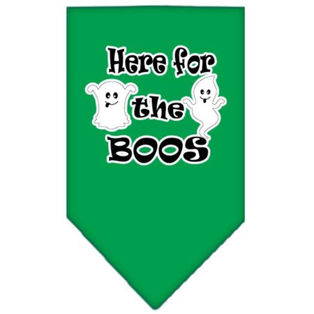 MIRAGE PET PRODUCTS Here for the Boos Screen Print BandanaEmerald Green Large 66-174 LGEG